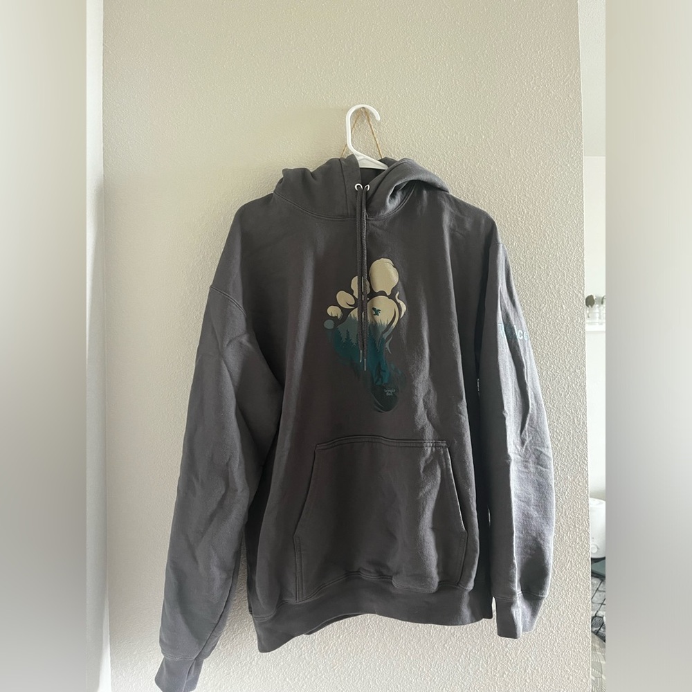 Georgia boot hoodie